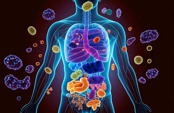Lattoferrina, un aiuto per il sistema immunitario