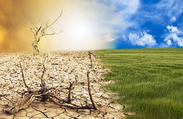 Pandemia ed ecosistema