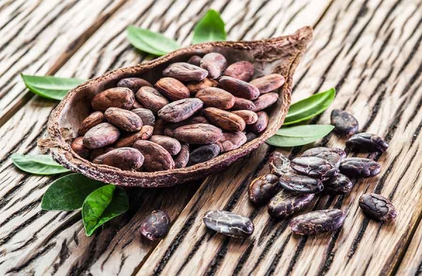 Cacao e dintorni