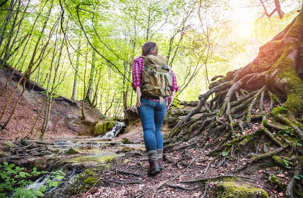 Forest bathing, un bagno nella foresta