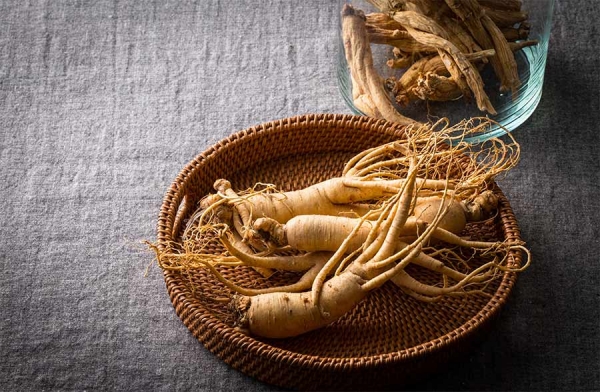 Ginseng, la radice dell’energia