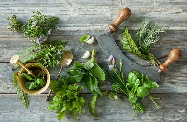 Erbe aromatiche, i sapori che curano