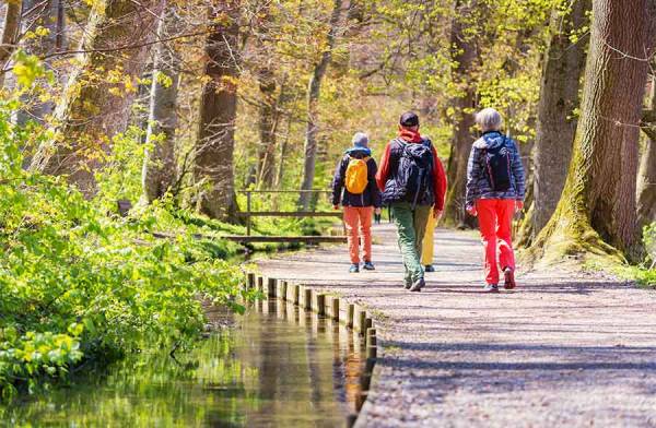 Camminare in compagnia