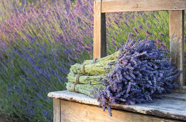 Lavanda, anti-stress naturale