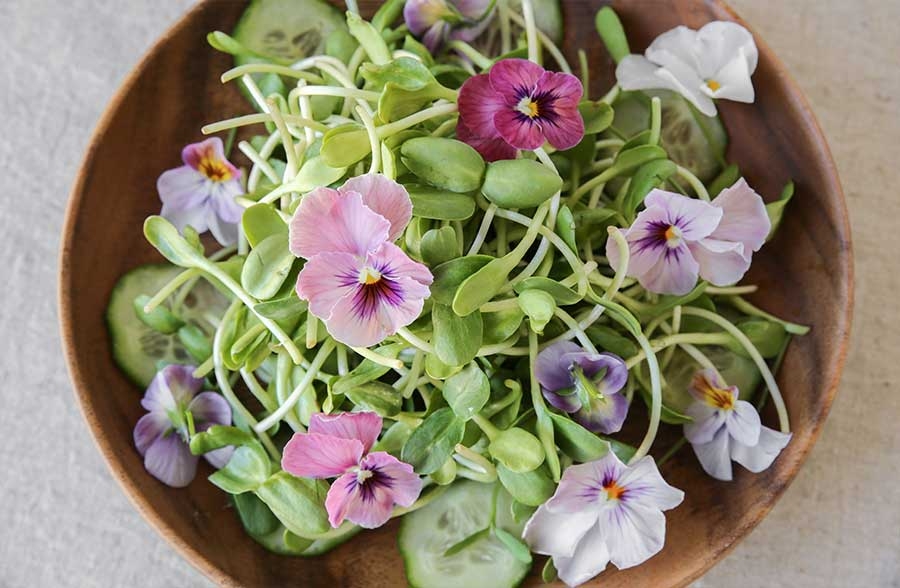 Fiori eduli, un arcobaleno di salute - Elisir di Salute - Rivista di  medicina, alimentazione, ecologia