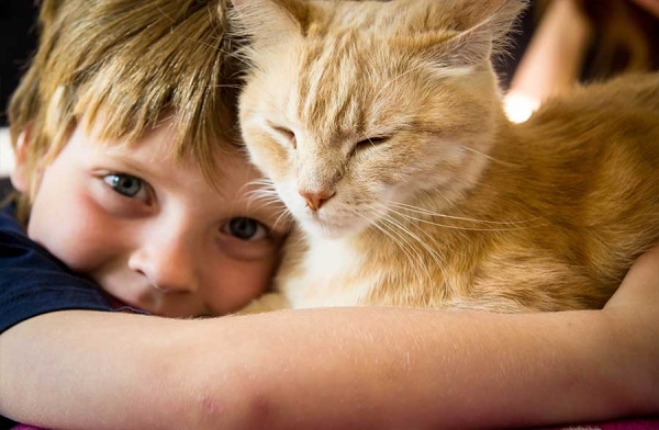 Bambini e animali, quali precauzioni?