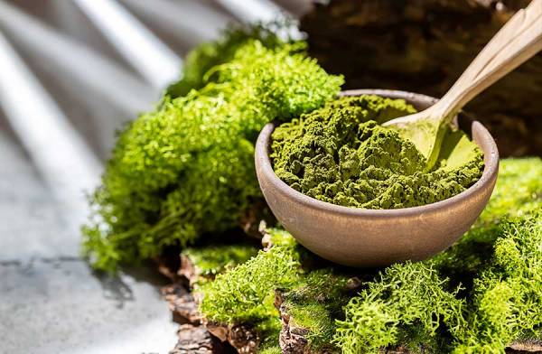 Alga Spirulina, una fonte di benessere